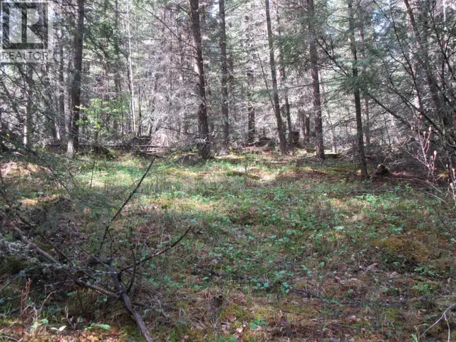 7681 BURGESS ROAD Deka Lake / Sulphurous / Hathaway Lakes, Briti in Houses for Sale in 100 Mile House - Image 11
