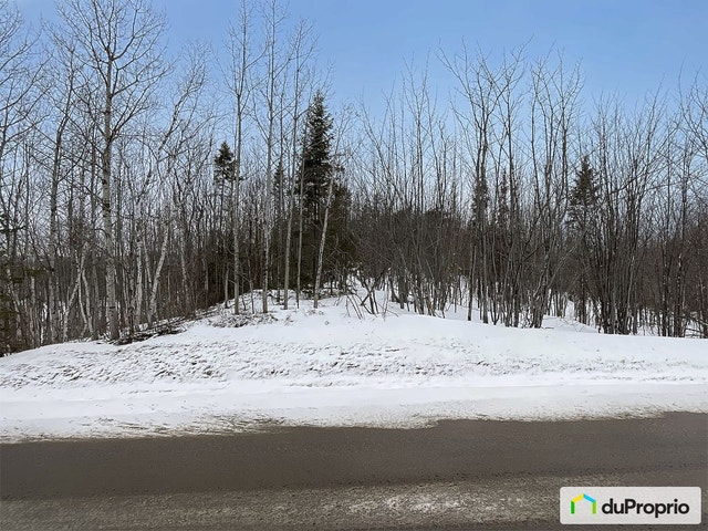 $95,000 - Wood Lot for sale in Ste-Francoise — photo 1
