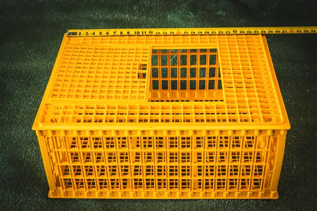 Heavy Duty Chicken Crate- SKU#HDCC63694106908033123