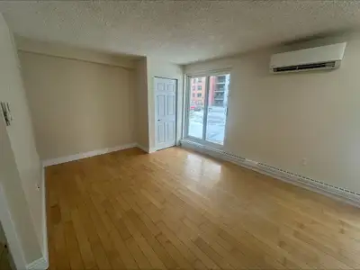 Bachelor Suit - Cat or Dog Friendly (Less than 30 lbs) Private Patio space with ground level access...