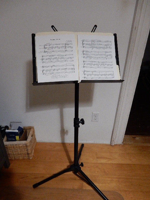 Music stand Yorkville BS321 in Other in Dartmouth