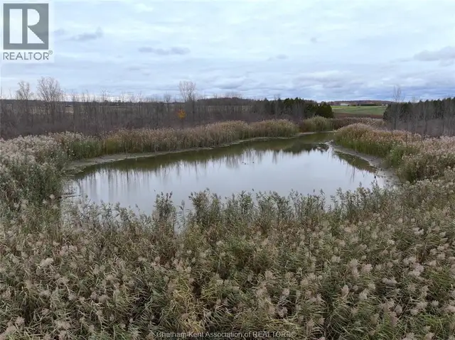 0 OAKDALE ROAD Dawn-Euphemia, Ontario in Land for Sale in Chatham-Kent - Image 10