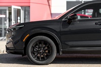True Price by Wheaton Honda is a promise of all in pricing. All inventory is 100% inclusive of fees... (image 5)