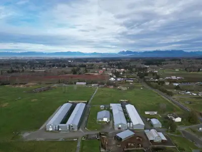 Going Concern Broiler Farm on nearly 20 acres in Langley! This turnkey operation boasts 4 two-storey...