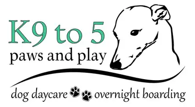 Summer is coming! Book your dog in for boarding early to ensure their spot! Please call or text 519-...