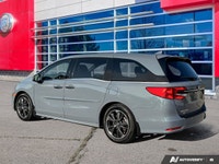 Honda's Legendary Reliability on Full Display Right Here with This Beautiful Sonic Gray Pearl 2023 H... (image 3)
