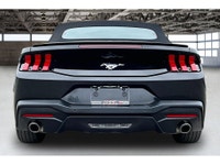 COME SEE WHY ''NOBODY BEATS A DEAL FROM PEEL!'' Your Source for ALL make and models used cars and tr... (image 3)