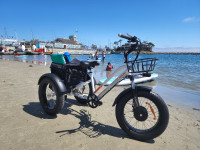 Meigi Zeus Fat Tire Electric Trike Free Shipping Warranty