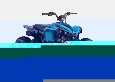 2026 CAN-AM RENEGADE 110 EFI YOUTH ATV STOCK #A114623 112cc 4 STROKE ENGINE CVT TRANSMISSION BUILT-I...