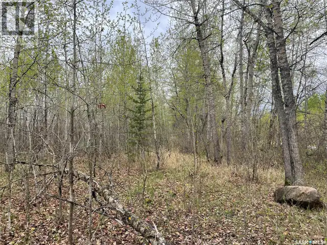 5.5km South of Dorintosh Lot 4 Meadow Lake Rm No.588, Saskatchew in Land for Sale in Meadow Lake - Image 4