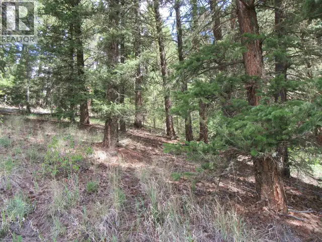 DL 2808 DONOVAN ROAD Lac La Hache, British Columbia in Land for Sale in 100 Mile House - Image 11