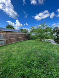 Charming 1-Bedroom Basement Apartment | 95 Leaside Dr., Welland | $1350/month Available August 1, 20... (image 6)