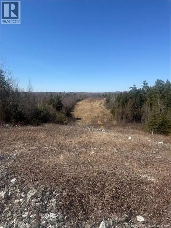 Vacant Land Route 785 Mcdougall Lake, New Brunswick in Land for Sale in Fredericton - Image 7