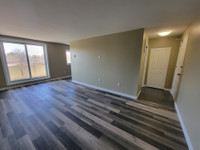 BRAND NEW 1 BDRM APT W/ BALCONY & ELEVATOR - ALL UTILITIES INCL.