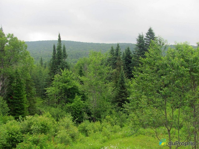 $99,500 - Starting at - Residential Lot in Rivière-à-Pierre — photo 2
