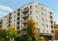 Ridout Place - Waterloo Apartment for Rent