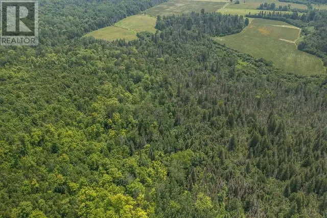 447 McPhail RD Bruce Mines, Ontario in Land for Sale in Sault Ste. Marie - Image 39