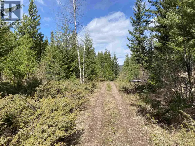DL3723 JULSRUD ROAD Deka Lake / Sulphurous / Hathaway Lakes, Bri in Land for Sale in 100 Mile House - Image 8