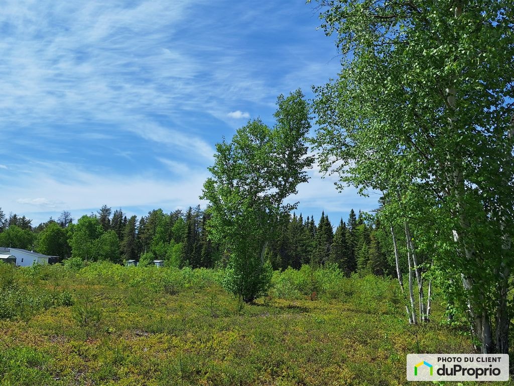 $100,000 - Residential Lot for sale in Dolbeau-Mistassini — photo 2