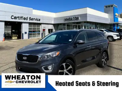 Experience confident Canadian adventures in this 2017 Kia Sorento EX V6 AWD, combining powerful perf...