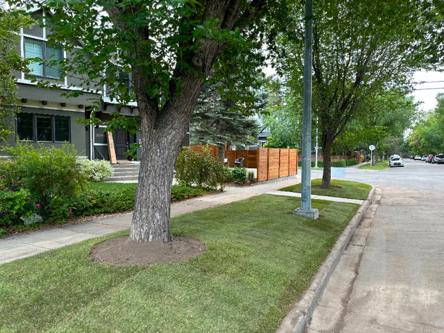 OUTBERG LANDSCAPING SOD REMOVAL SOD INSTALL FREE CALL 8446882374 in Lawn, Tree Maintenance & Eavestrough in Calgary - Image 3