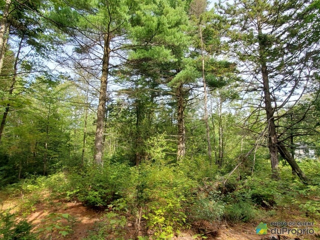 $275,000 - Land to be developed for sale in St-Lambert-De-Lauzon — photo 2