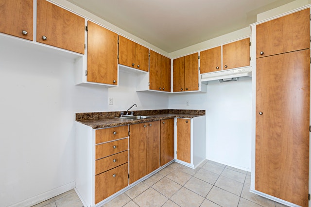 4570 rue René-Émard — photo 3