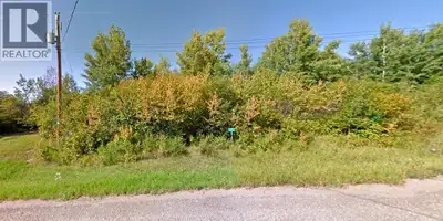 Discover the potential of this beautiful .47-acre treed lot in the quiet Lakeview Estates subdivisio...