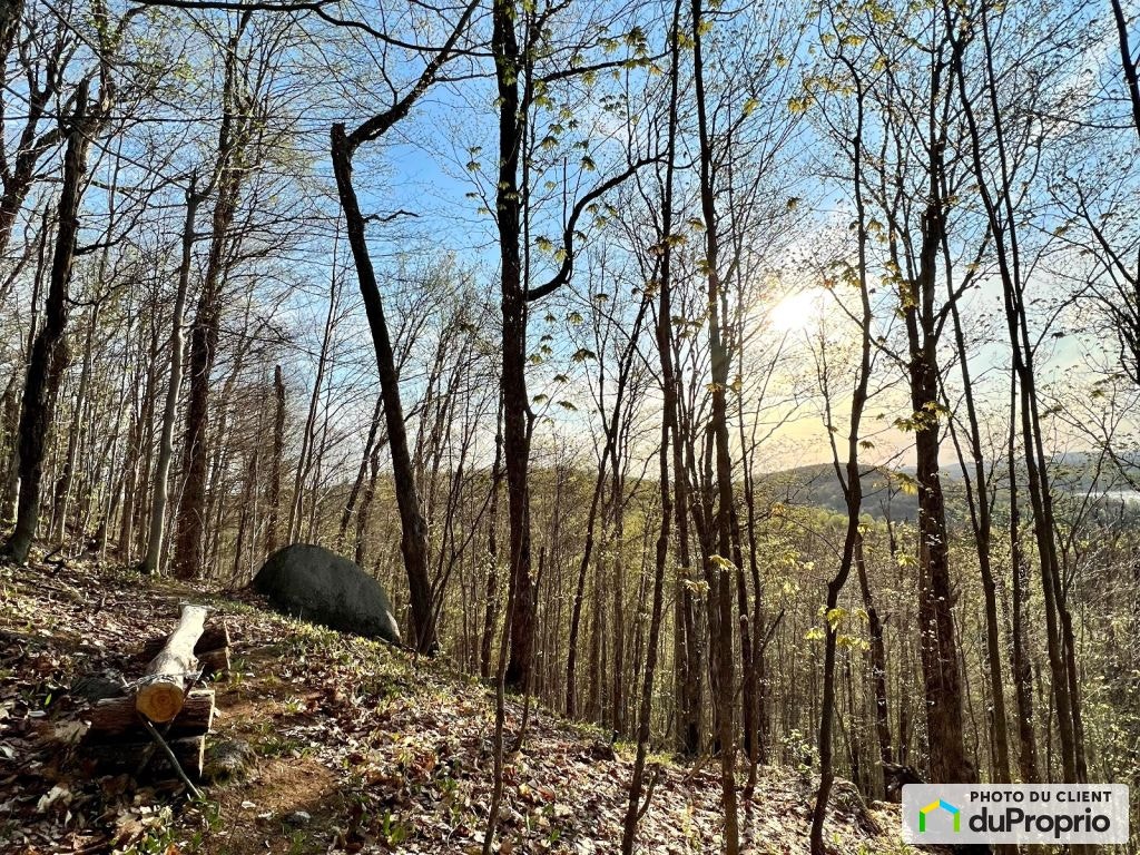 $189,000 - Residential Lot for sale in Lantier — photo 3