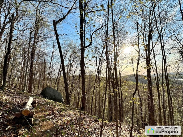 $189,000 - Residential Lot for sale in Lantier — photo 3