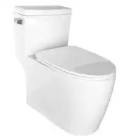 CLEARANCE  ONE PIECE TOILETS S $299