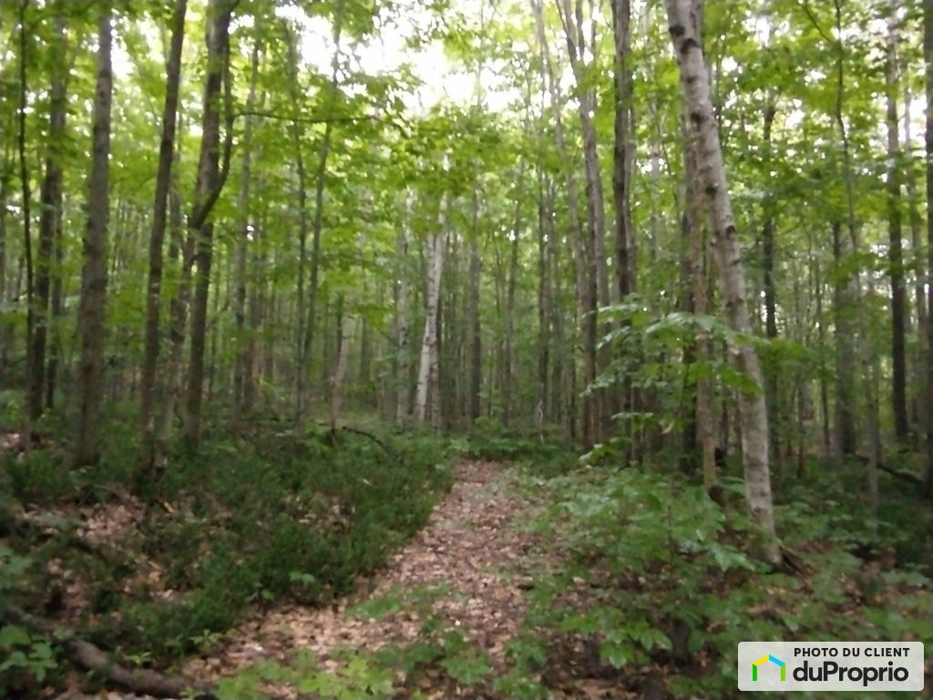 $145,000 - Price taxes not included - Wood Lot in St-Cuthbert — photo 2