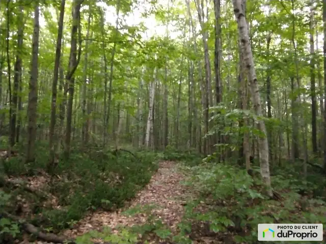 $145,000 - Price taxes not included - Wood Lot in St-Cuthbert in Land for Sale in Laval / North Shore - Image 3
