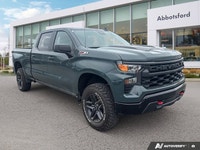 Dominate every journey and make a statement with this vibrant Green 2025 Chevrolet Silverado 1500 Cu... (image 6)