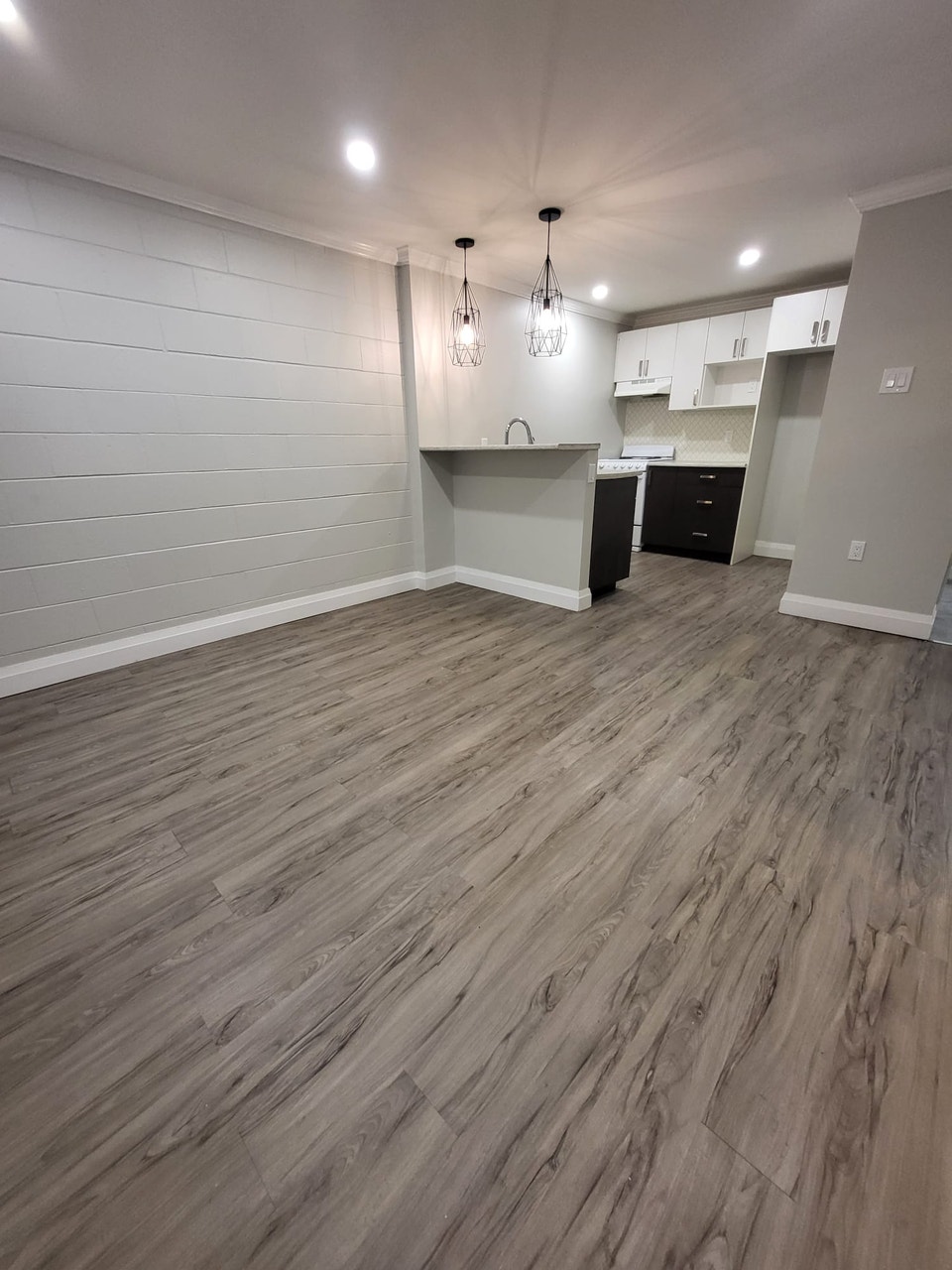 Renovated One-Bedroom 1