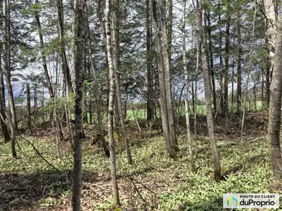 Très beau terrain de 57 acres avec arbres matures,très bon pour la chasse orignals, chevreuils, dind...