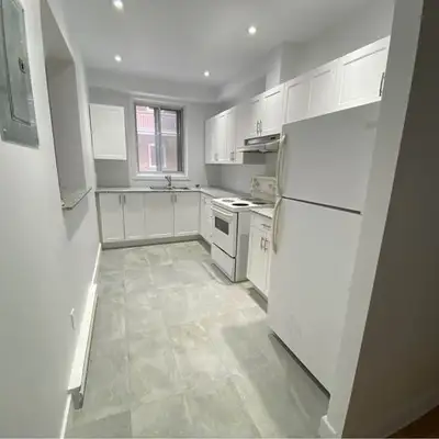4.5 (2 chambres) de grande taille complètement rénové dans CôtedesNeiges. Aire ouverte dans la cuisi...