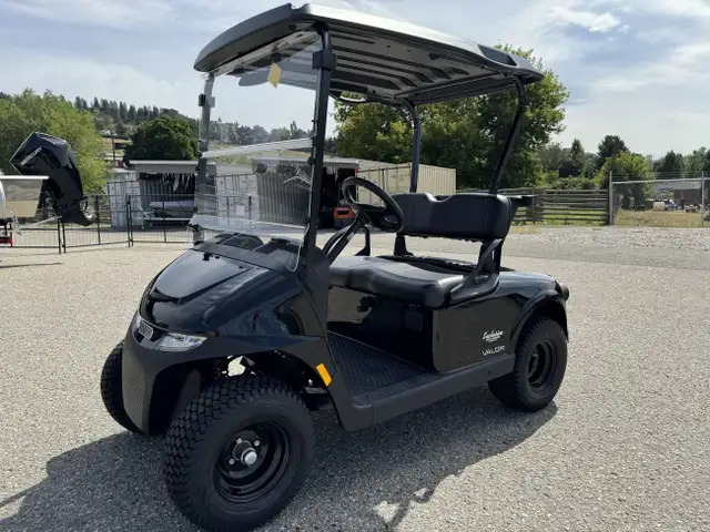 2025 EZGO Valor EX1 -Best Golf Cart,by Textron in ATVs in Vernon - Image 5