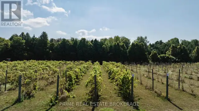 60 DEER RIDGE LANE W Bluewater (Bayfield), Ontario in Houses for Sale in Grand Bend - Image 7
