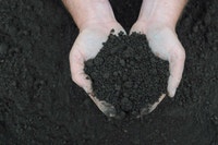 Terre noire tamisée (sifted garden earth) 2$/pi3 (sqft) City of Montréal Greater Montréal Preview