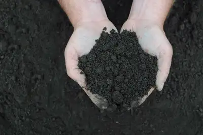 Terre noire tamisée (sifted garden earth) 2$/pi3 (sqft), View more