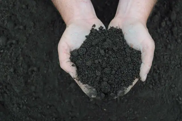 Terre noire tamisée (sifted garden earth) 2$/pi3 (sqft) in Plants, Fertilizer & Soil in City of Montréal - Image 2