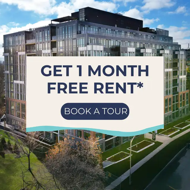 1 Bedroom Apartment for Rent - 41 Johnson Street62863328696322120