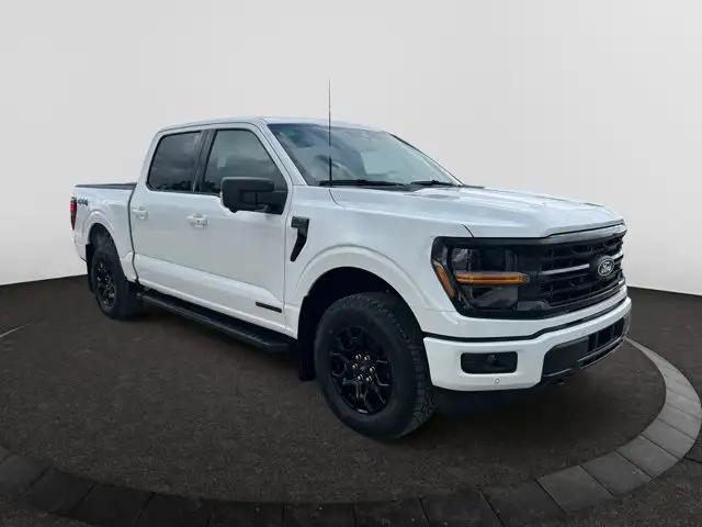 2026 Ford F-150 XLT in Cars & Trucks in Regina - Image 8