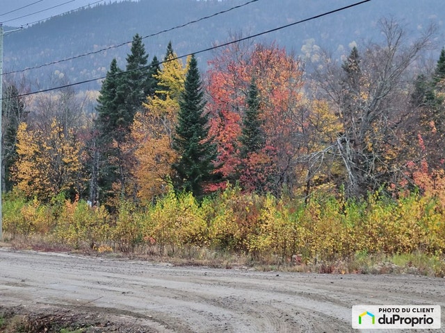 $55,566 - Residential Lot for sale in Petite-Riviere-St-Francois — photo 2
