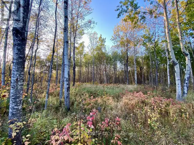 6524 HIGHWAY 11 HIGHWAY N Iroquois Falls, Ontario in Land for Sale in Timmins - Image 15