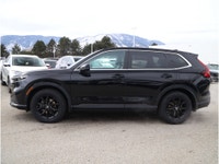 2024 HONDA CR-V HYBRID EX-L - BC VEHICLE - HEATED FRONT SEATS - SUNROOF - BACKUP CAMERA - DUAL-CLIMA... (image 1)
