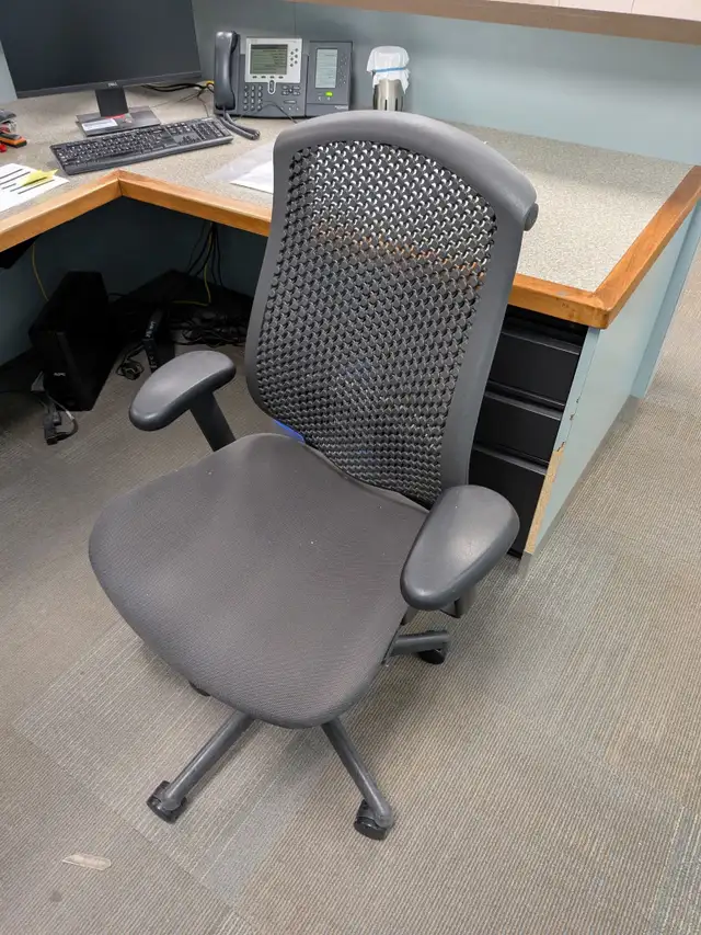 Herman Miller-Celle/Sayl-Chair Collection-Excellent Condition! in Chairs & Recliners in Mississauga / Peel Region - Image 2