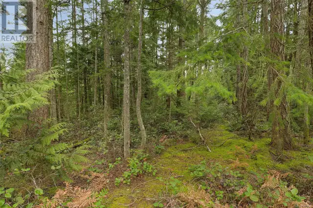 300 Bonsai Pl Qualicum Beach, British Columbia in Houses for Sale in Parksville / Qualicum Beach - Image 40