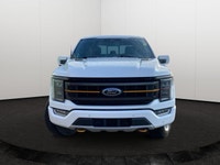 This Ford F-150 boasts a Regular Unleaded V6 3.5 L EcoBoost engine powering this Automatic transmiss... (image 5)
